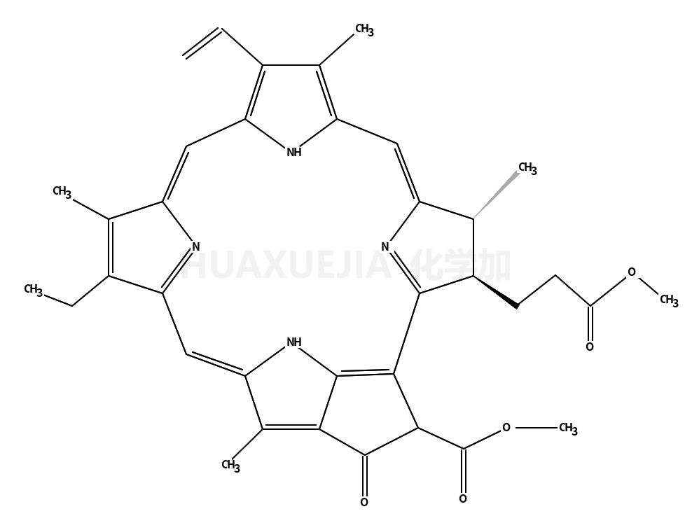 脱镁叶绿酸a甲酯