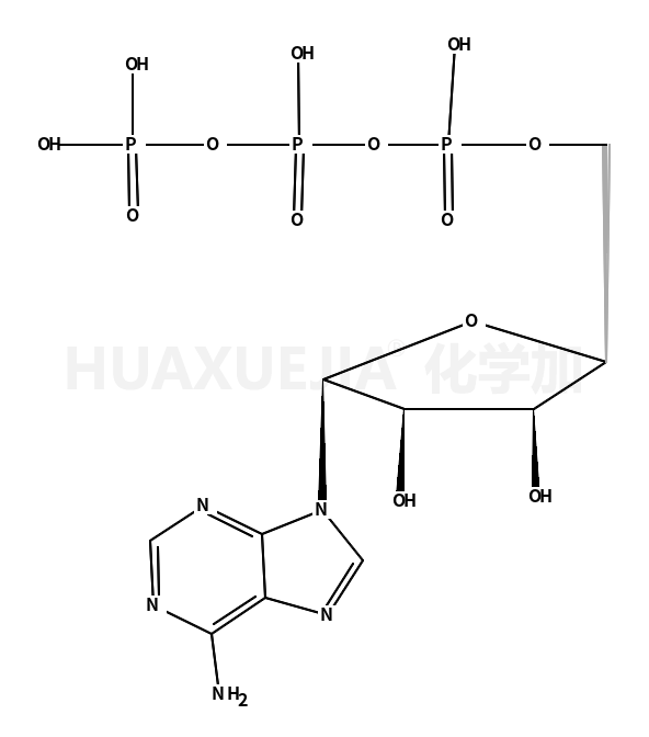 5’-三磷酸腺苷