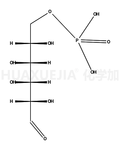 D-葡萄糖-6-磷酸