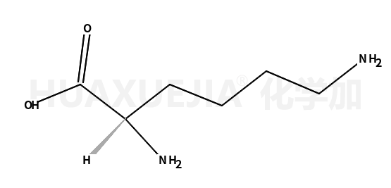 L-賴氨酸