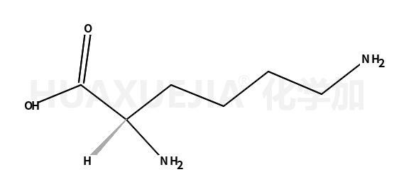 精氨酸雜質(zhì)A(Arginine)56-87-1