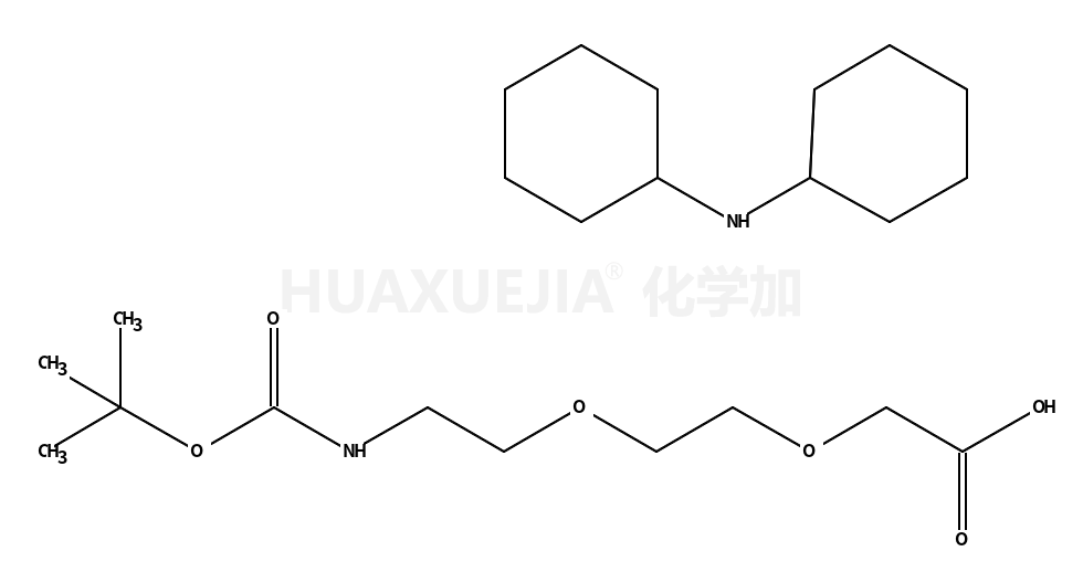 2-[2-(Boc-氨基)乙氧基]乙氧基乙酸 二环己基铵盐