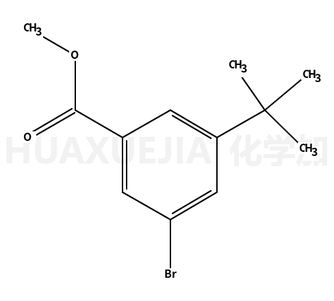 3-叔丁基-5-溴苯甲酸甲酯