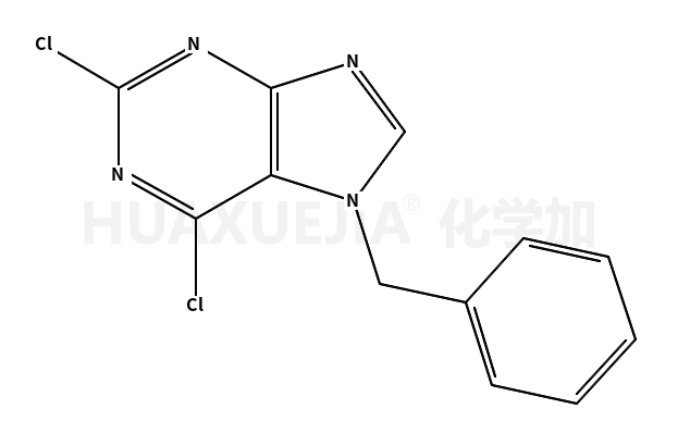 7-苄基-2,6-二氯-7h-嘌呤