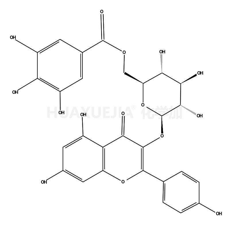 山奈酚 3-O-(6''-没食子酰基)-beta-D-吡喃葡萄糖苷