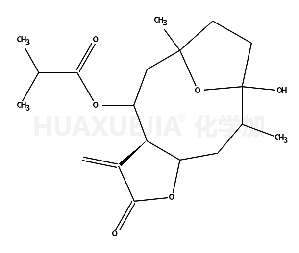 圆叶肿柄菊素 D