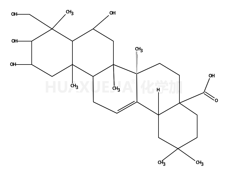 积雪草苷B苷元：2α,6β,23-三羟基齐墩果酸；终油酸