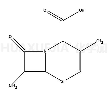 (7R)-7-Amino-3-methylcepham-2-ene-4-carboxylic acid