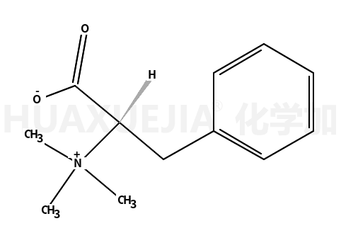 Phenylalanine betaine