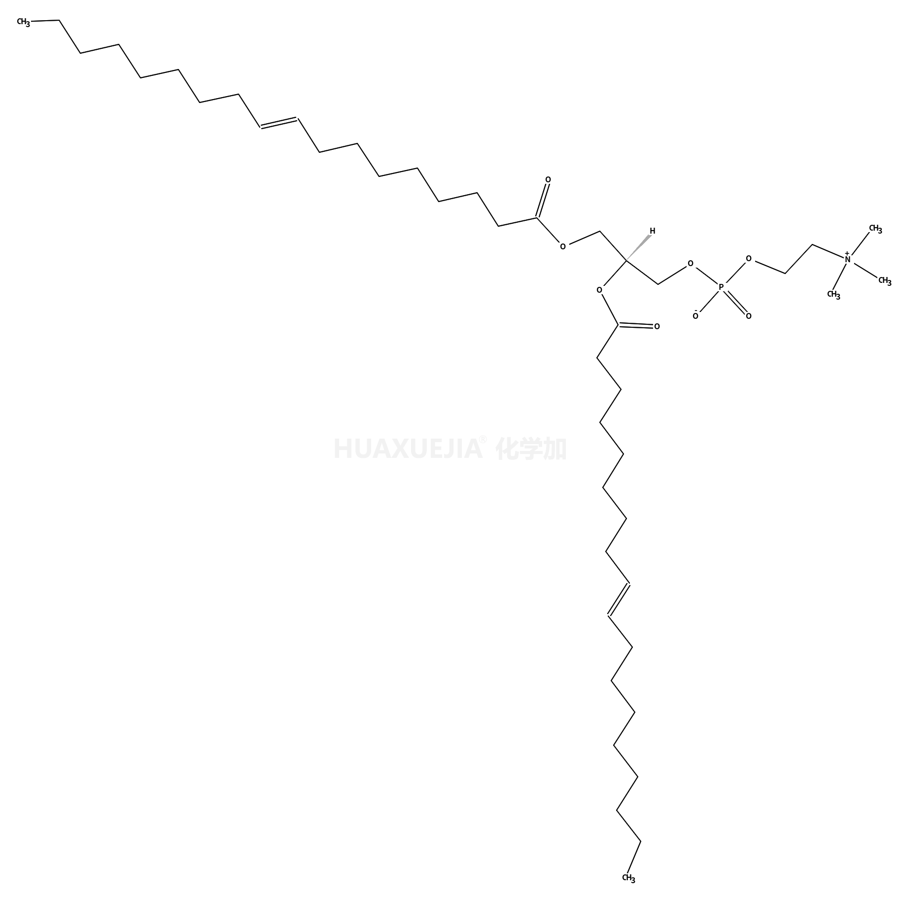 1,2-dielaidoyl-sn-glycero-3-phosphocholine