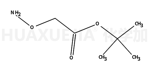 2-(氨基氧基)乙酸叔丁酯