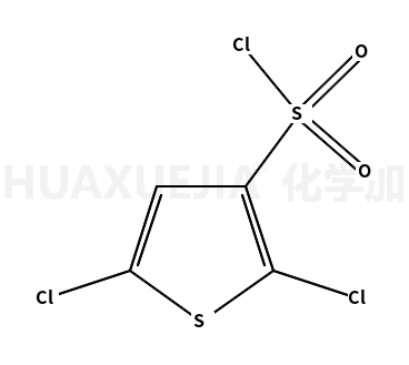 2,5-二氯-3-氯磺酰基噻吩
