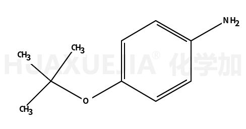 4-叔丁氧基苯胺