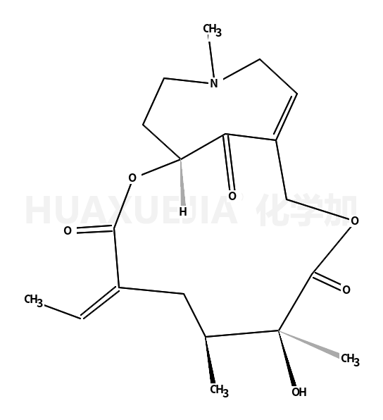 NEOSENKIRKINE