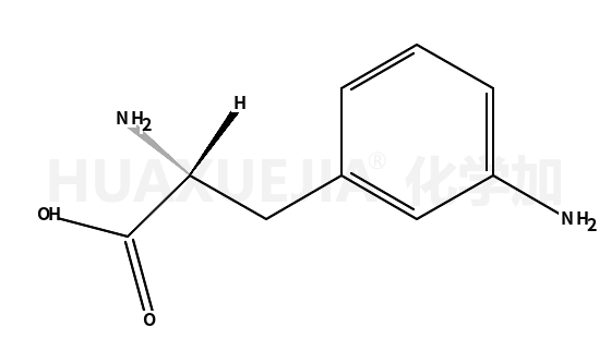 3-氨基-L-苯丙氨酸