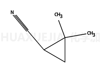 2,2-二甲基环丙腈