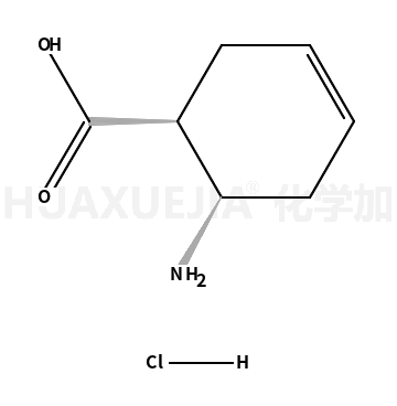 顺式-6-氨基-3-环己烯-1-羧酸 盐酸盐