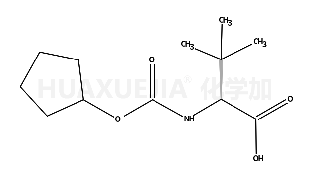 (S)-2-环戊基氧基羰基氨基-3,3-二甲基丁酸