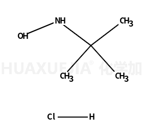 N-叔丁基羟胺盐酸盐