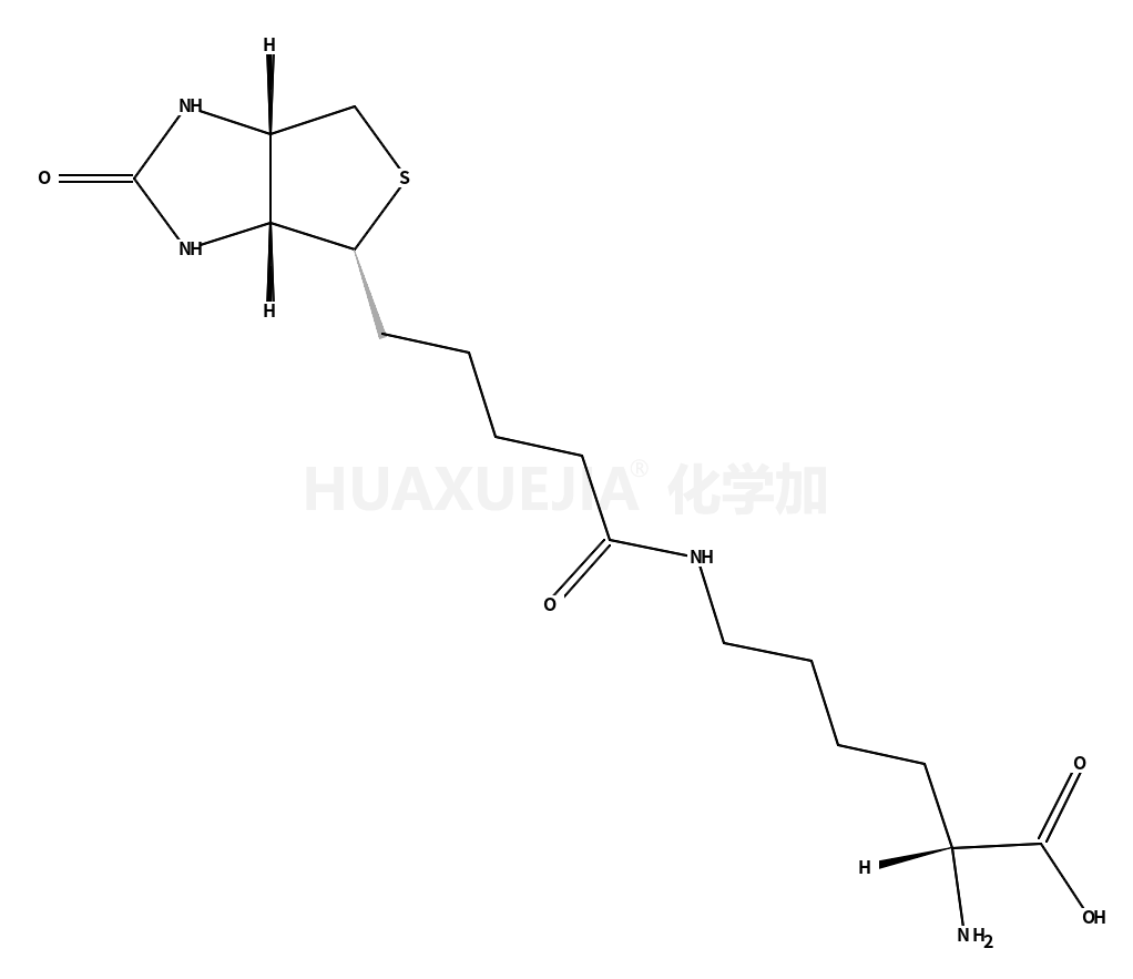 Biocytin (ε-Biotinoyl-L-lysine)