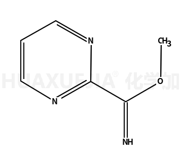 2-Pyrimidinecarboximidic acid, methyl ester (9CI)