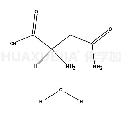 L-天冬酰胺 一水