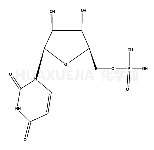 5-尿苷一磷酸