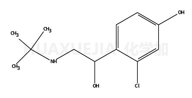 2-氯-α-[[(1,1-二甲基乙基)氨基]甲基]-4-羟基苯甲醇