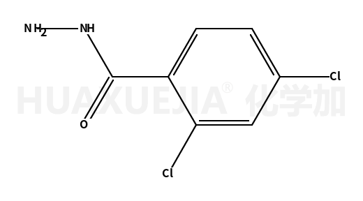 2,4-二氯苯酰肼