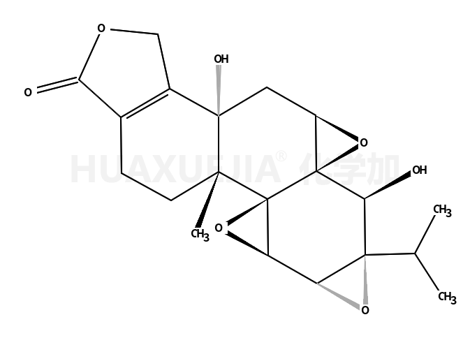 5α-hydroxytriptolide