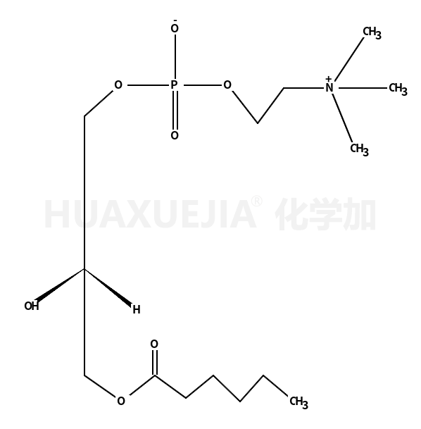 1-hexanoyl-2-hydroxy-sn-glycero-3-phosphocholine