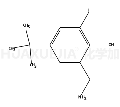 2-aminomethyl-4-t-butyl-6-iodophenol