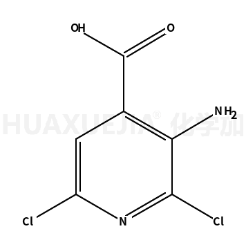 3-氨基-2,6-二氯异烟酸