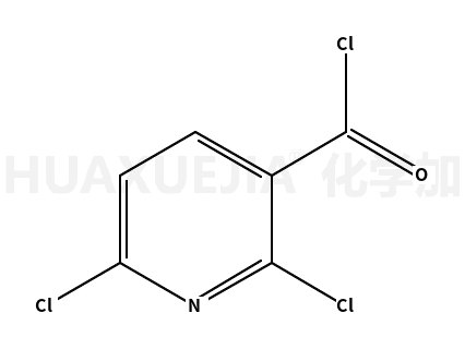 2,6-二氯吡啶-3-羰酰氯