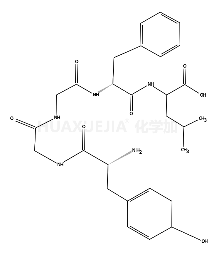 亮氨酸脑啡肽