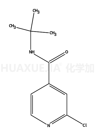 N-叔丁基-2-氯异烟酰胺