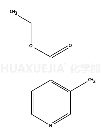 3-甲基吡啶-4-羧酸