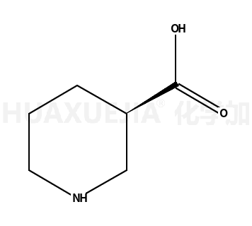 (S)-(+)-3-哌啶甲酸