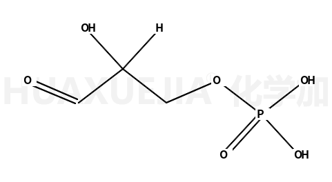 DL-甘油醛-3-磷酸