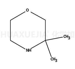 3,3-二甲基吗啉