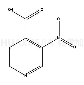 3-硝基-4-吡啶羧酸