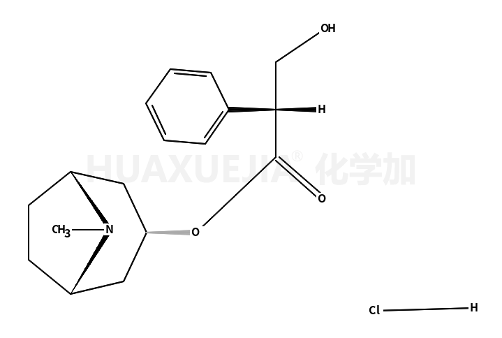莨菪鹼鹽酸鹽
