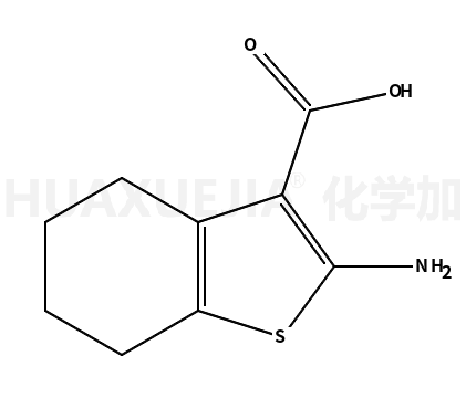 2-氨基四氢苯并噻吩-3-甲酸
