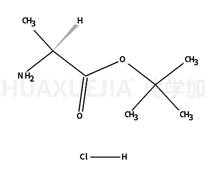 D-丙氨酸叔丁酯盐酸盐