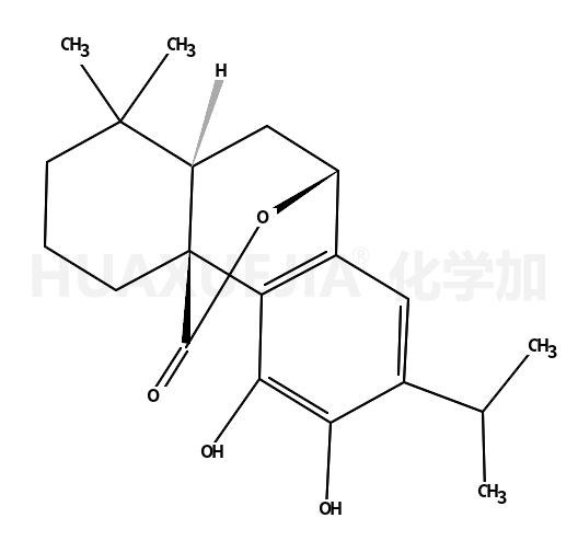 鼠尾草酚、鼠尾草苦內(nèi)脂