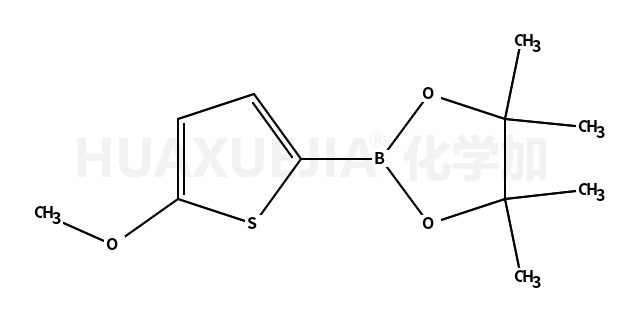 5-METHOXYTHIOPHENE-2-BORONIC ACID PINACOL ESTER