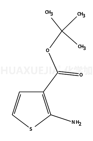 2-氨基噻吩-3-甲酸叔丁酯