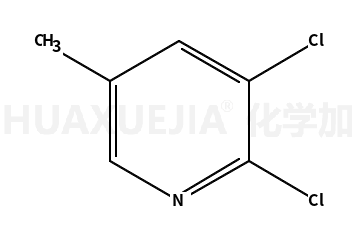 2，5-dichloro-3-methylpyridine