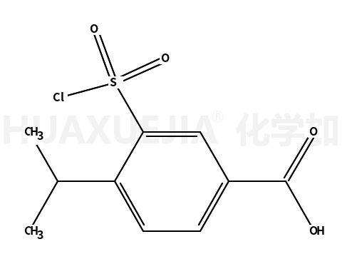 3-氯磺酰-4-异丙基苯甲酸