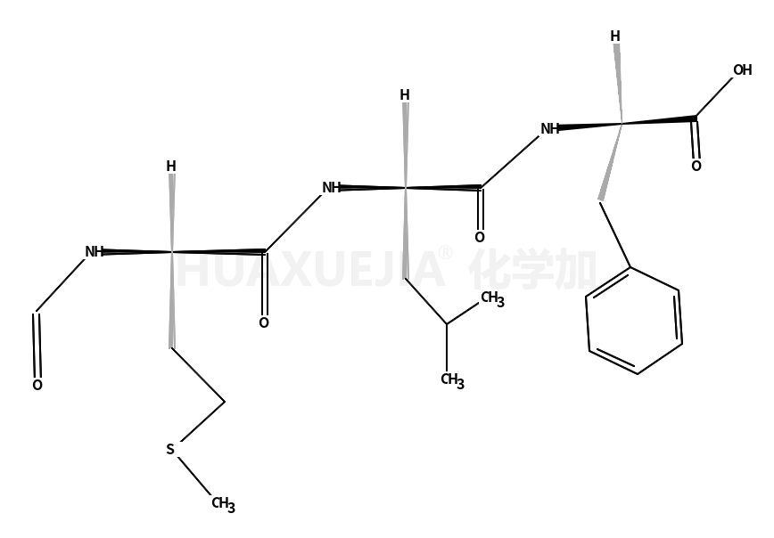 N-甲酰-L-甲硫氨酰-L-白氨酰-L苯丙氨酸